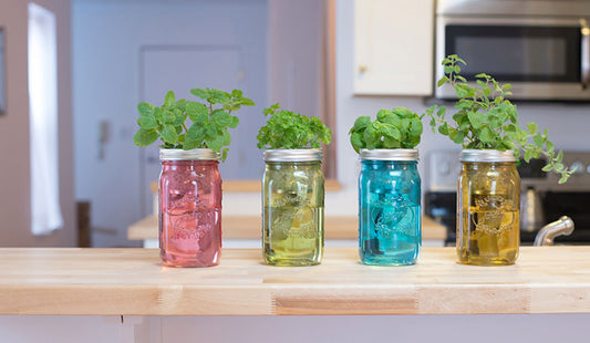 Herbs to grow inside
