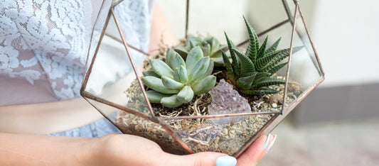 2018 Wedding Trends: Geometric Terrarium