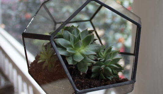 8 Hanging Geometric Terrarium Decor Ideas