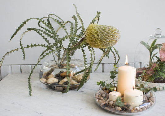 Boho Inspired Terrarium Container Ideas