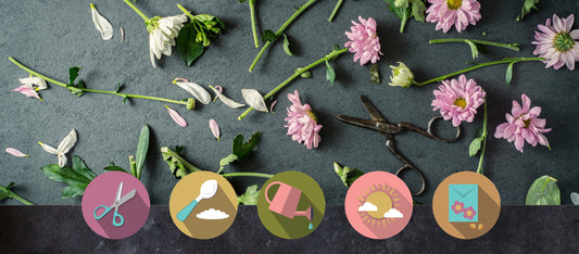 How To Make Fresh Flowers Last in a Vase