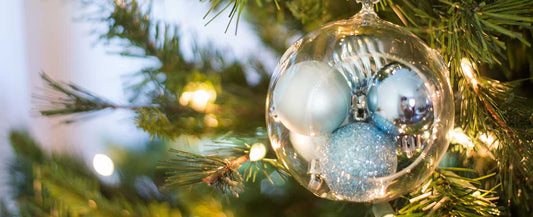 How to Spruce Up Your Terrarium for the Holidays