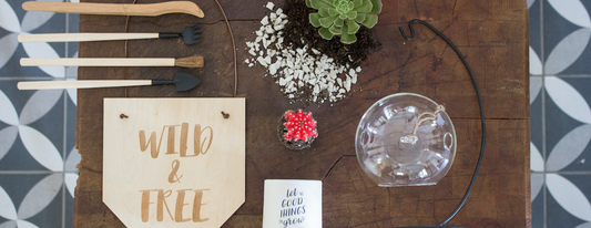 terrarium decor kit