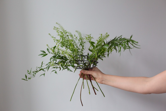 Popular Types of Greenery Fillers for Flower Arrangements
