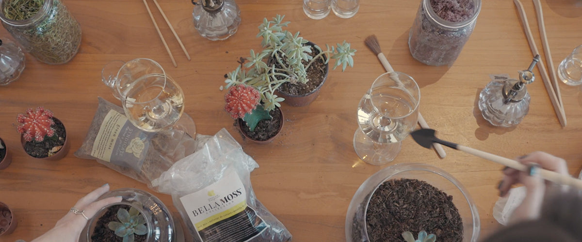 Host a Budget-Friendly DIY Terrarium Luncheon