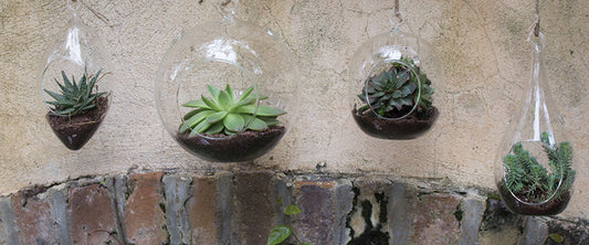 DIY terrarium makes a great gift