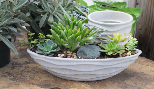 5 Unique Terrarium Containers for Your Outdoor Space