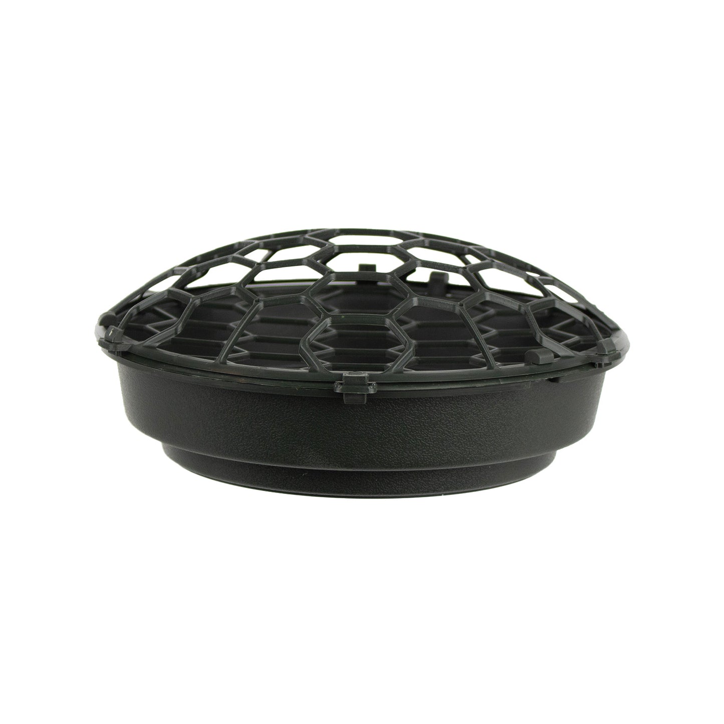 Holly Chapple FoamFree Dish