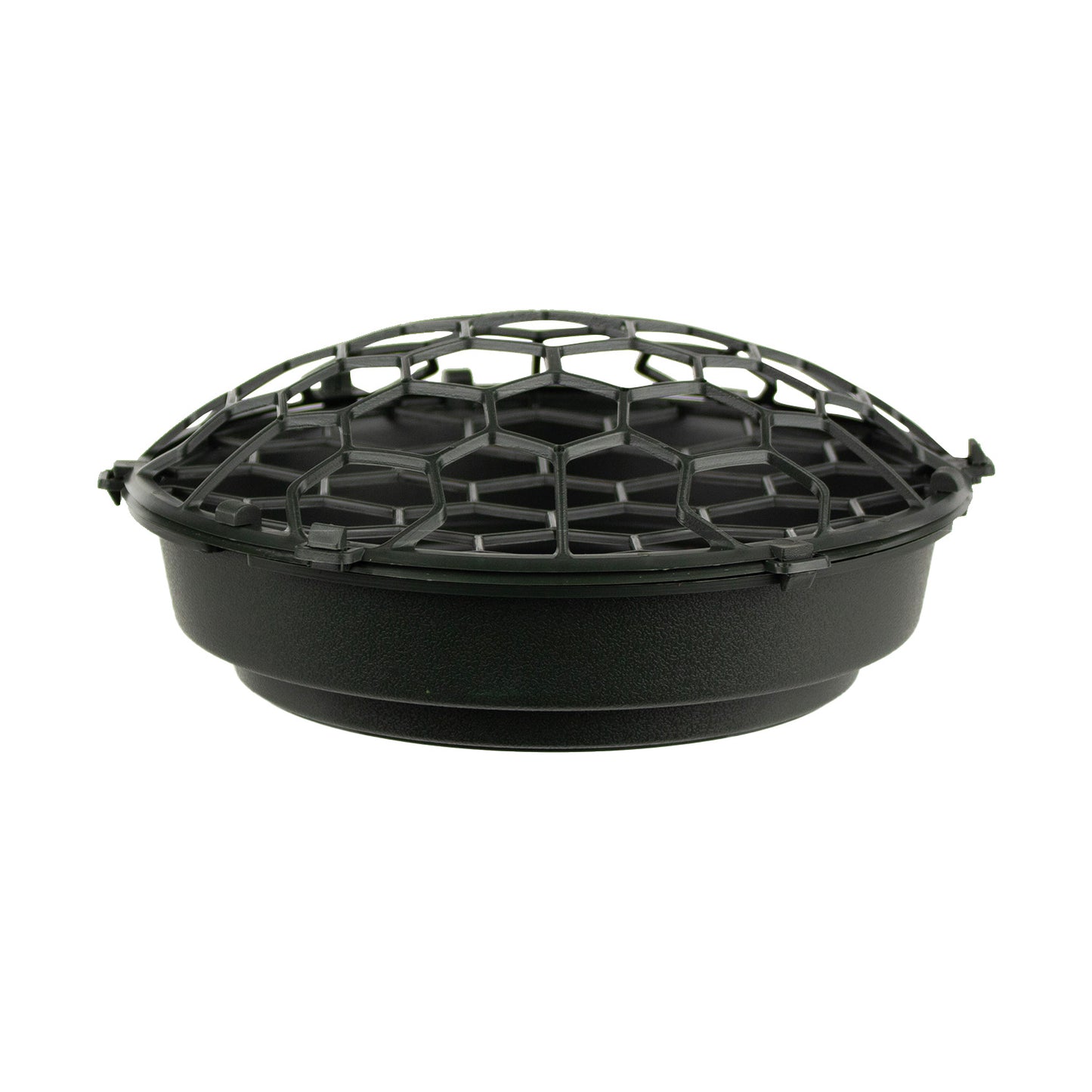 Holly Chapple FoamFree Dish