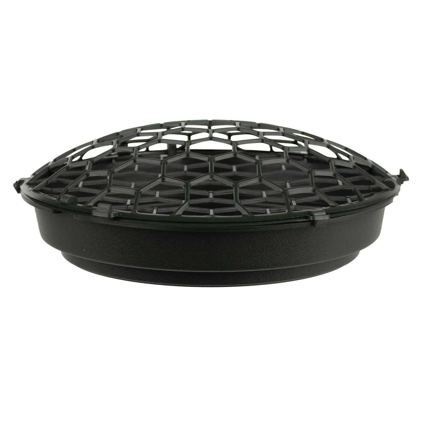 Holly Chapple FoamFree Dish