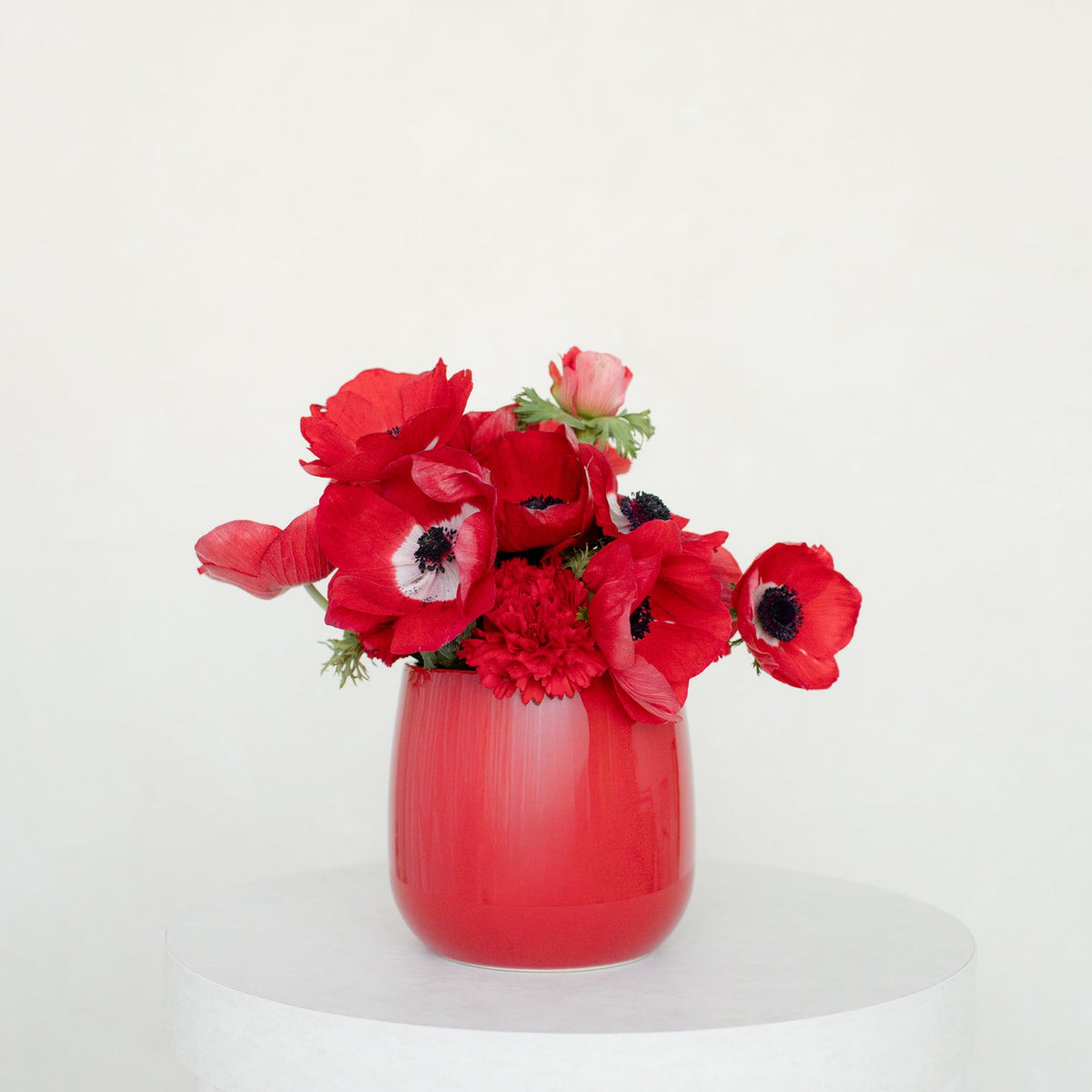 5" Milan - Red Gloss