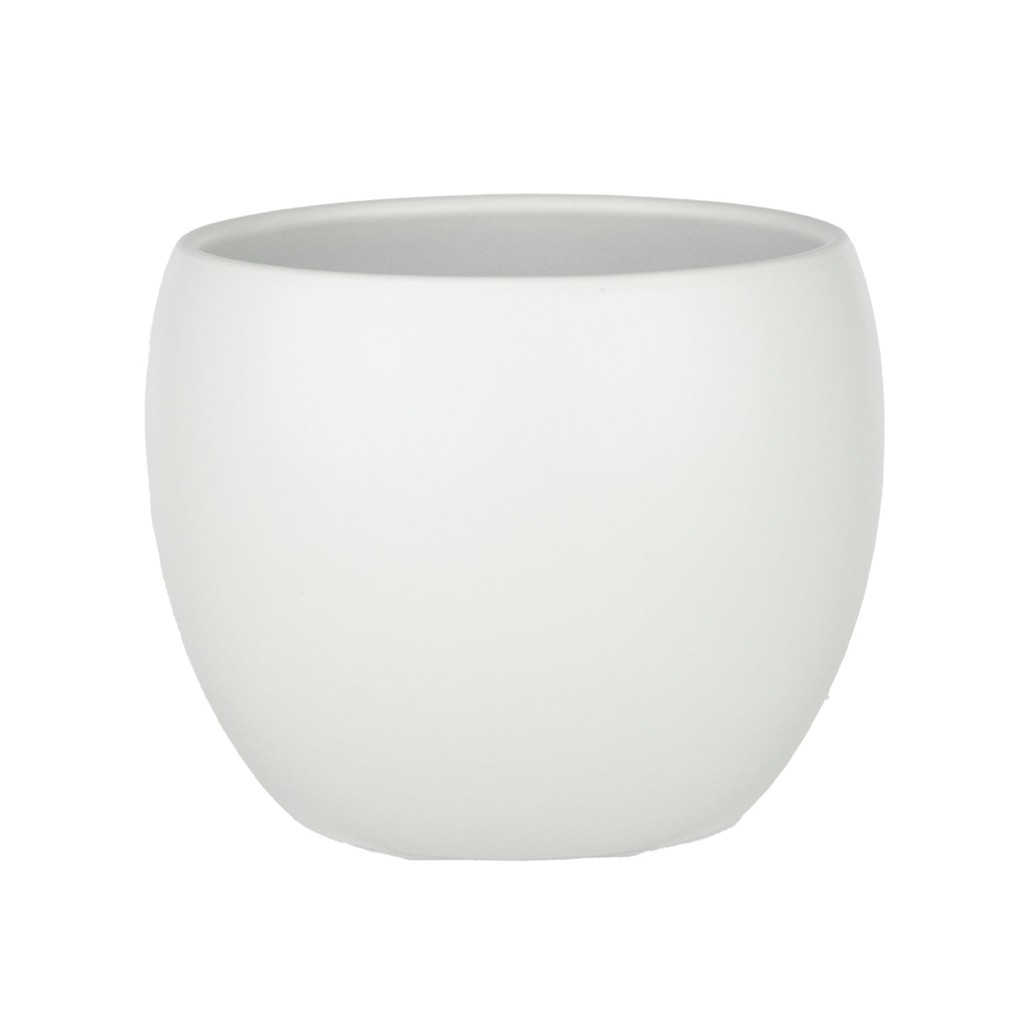Phoenix Planter -- Reverie Collection