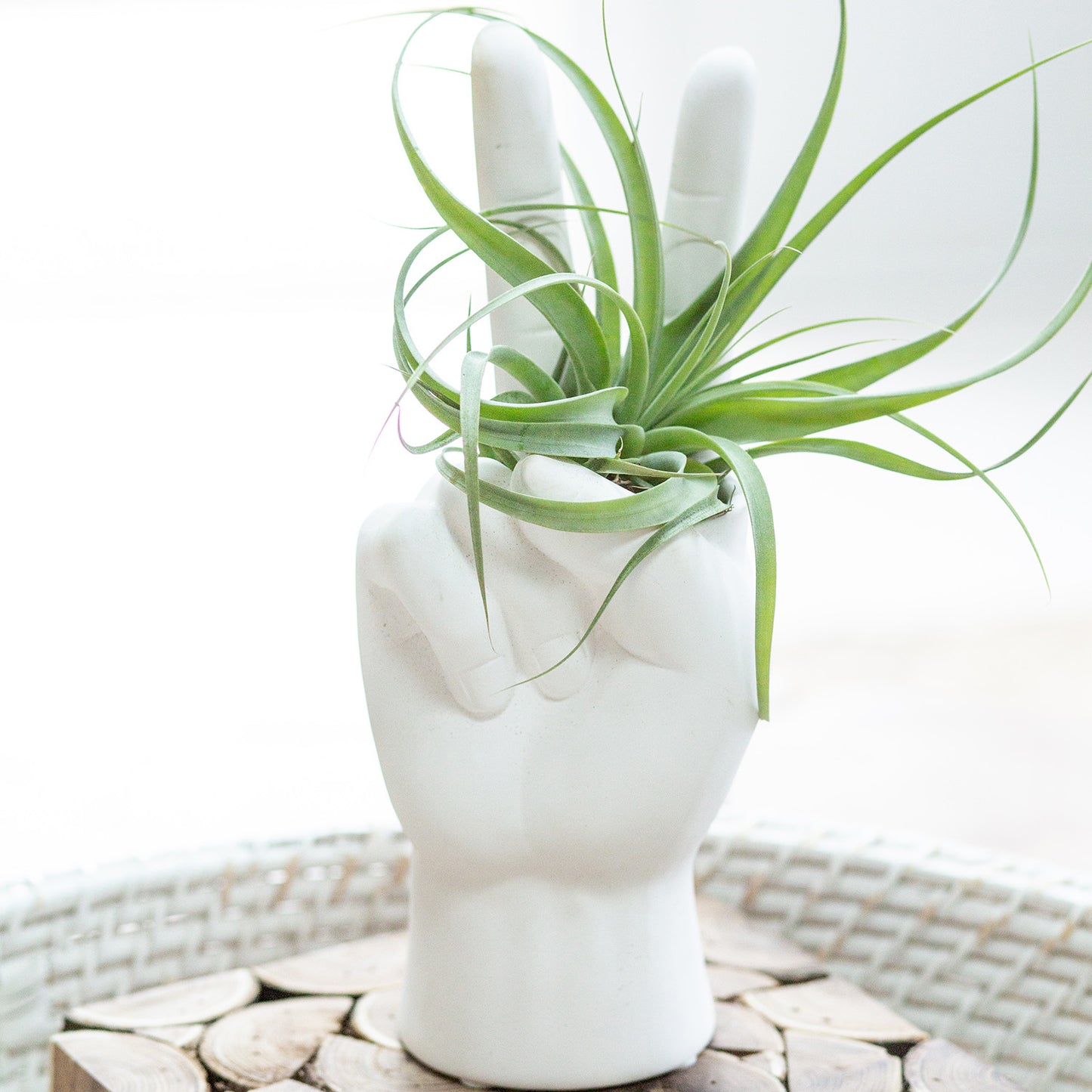 Anthology Peace Sign Planter