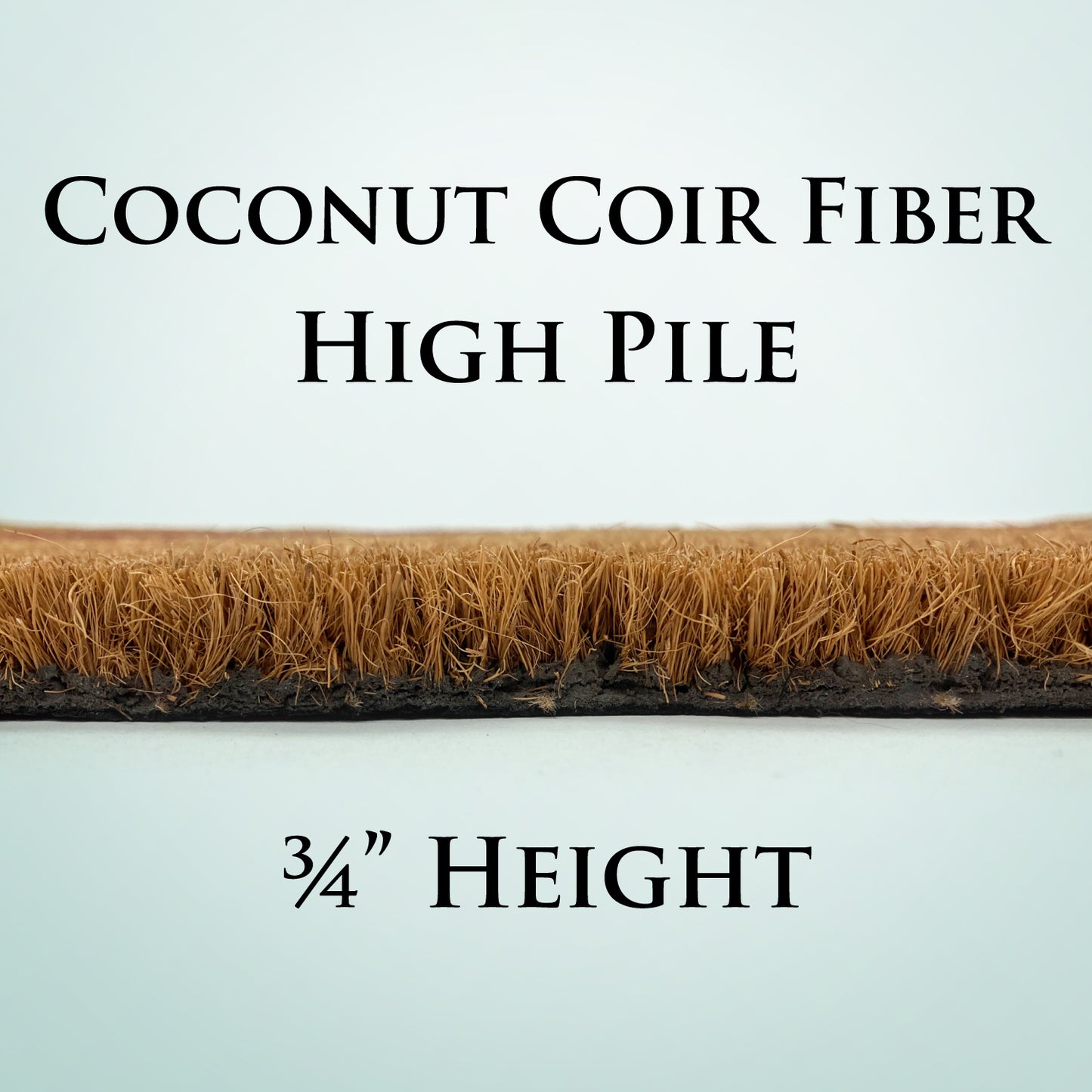 Welcome Cat and Dog Doormat