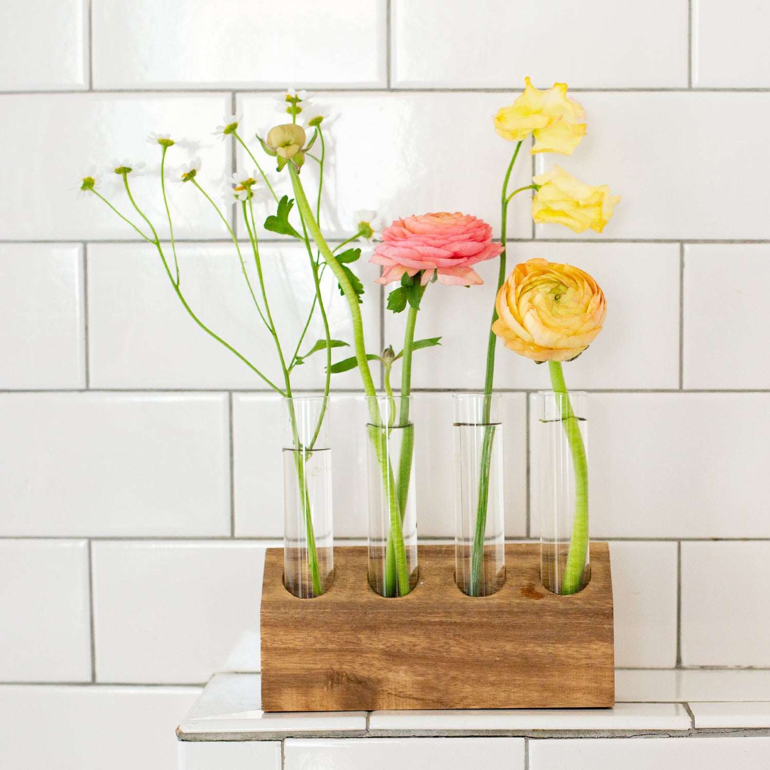 colorful flowers in a propagation kit with a wooden base