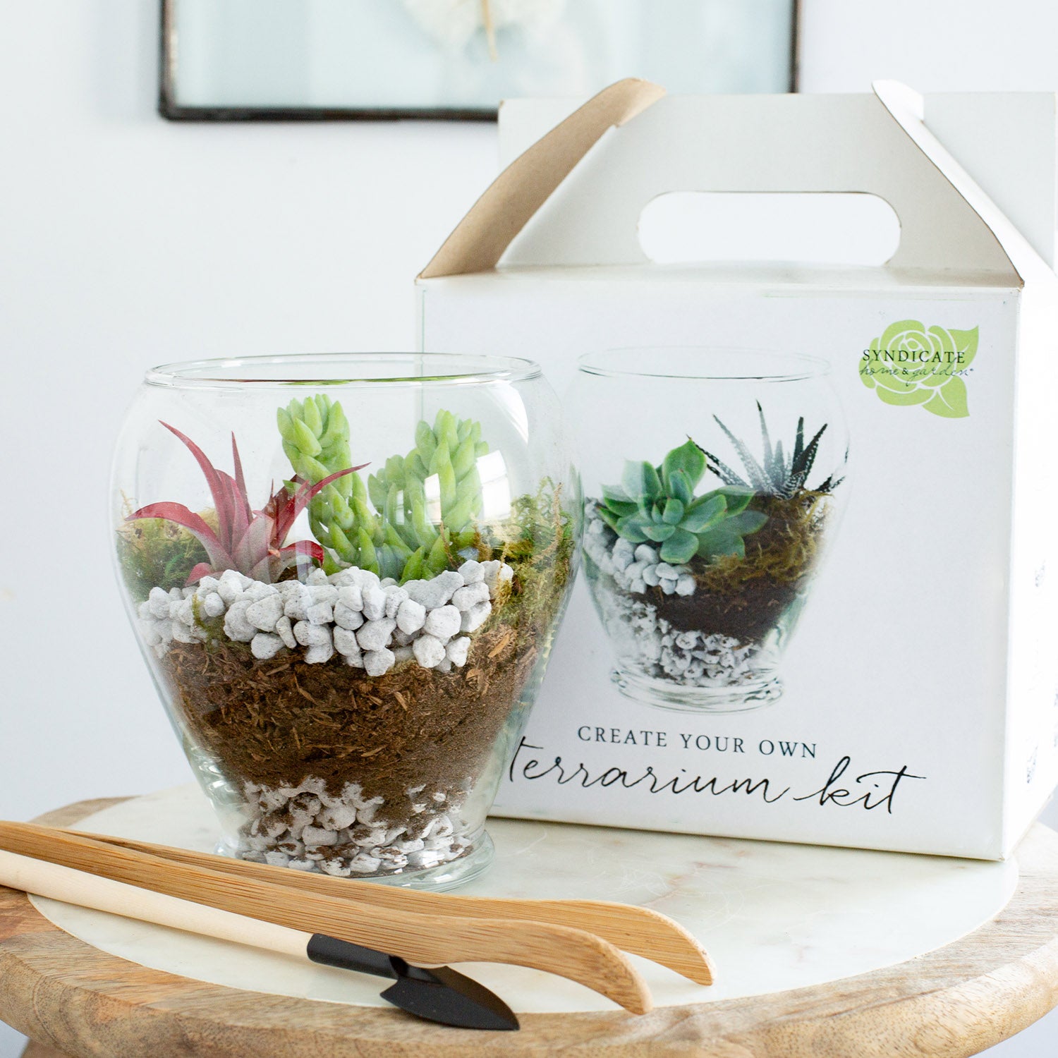 A filled serenity create your own terrarium kit filled with all the materials.
