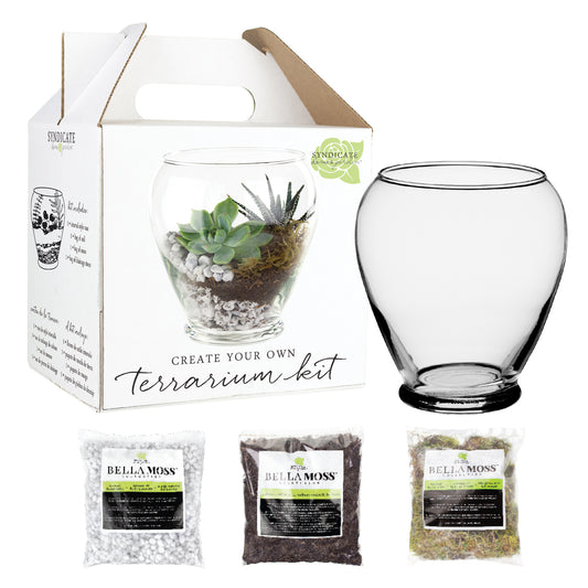 Serenity vase create your own terrarium kit that comes with everything you need including soil, rocks, and moss.