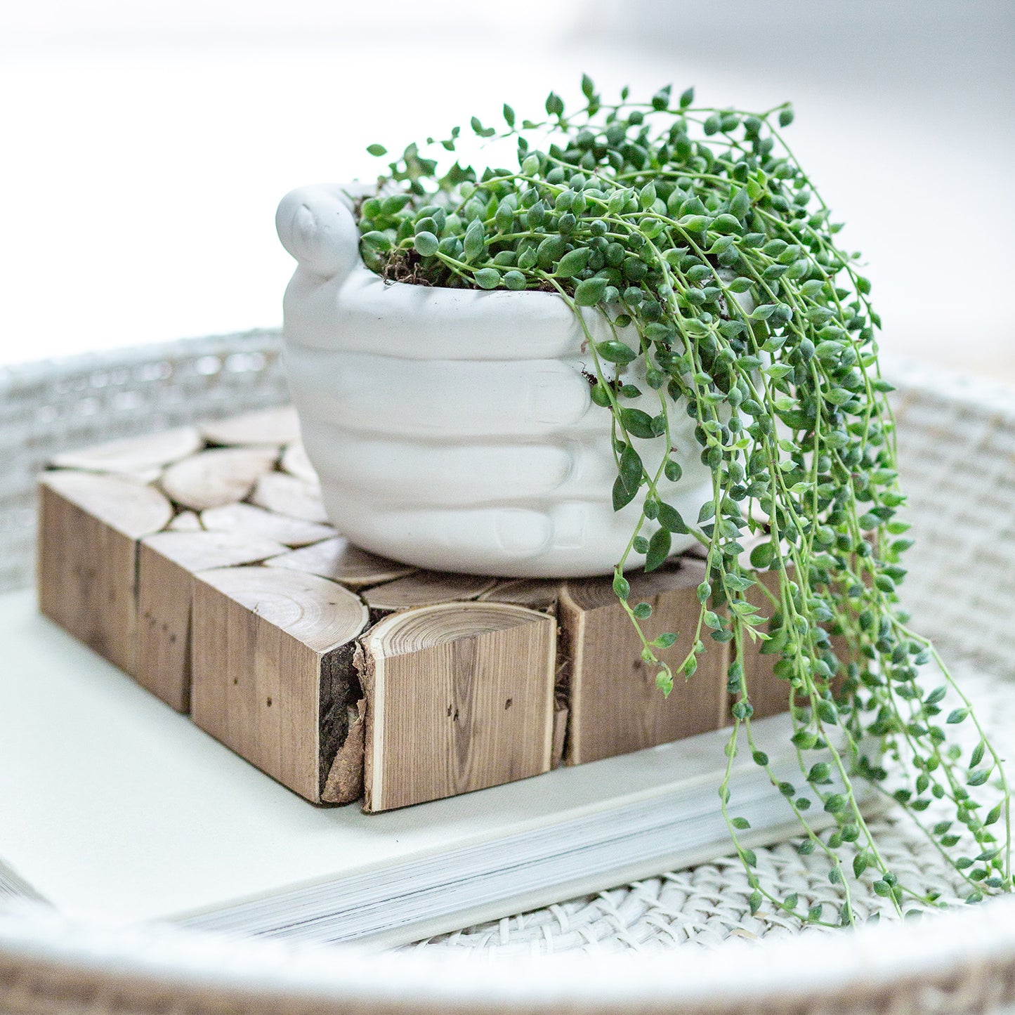 Togetherness Planter