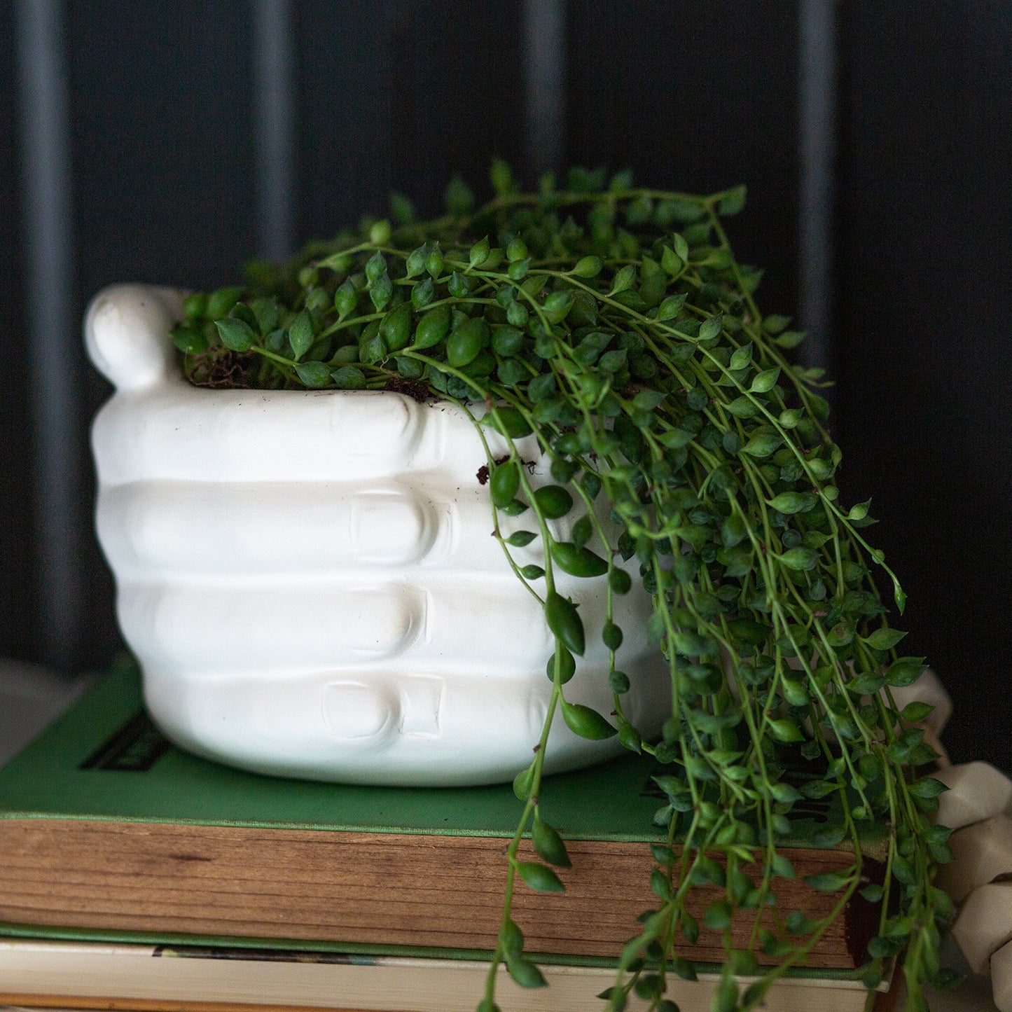 Togetherness Planter