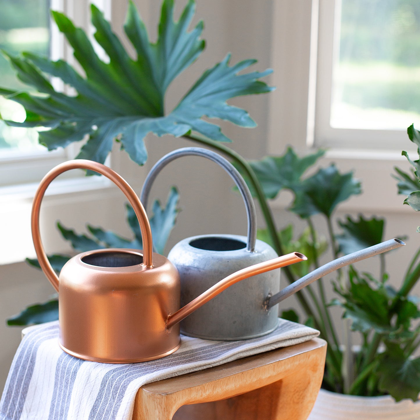 Loop Watering Can