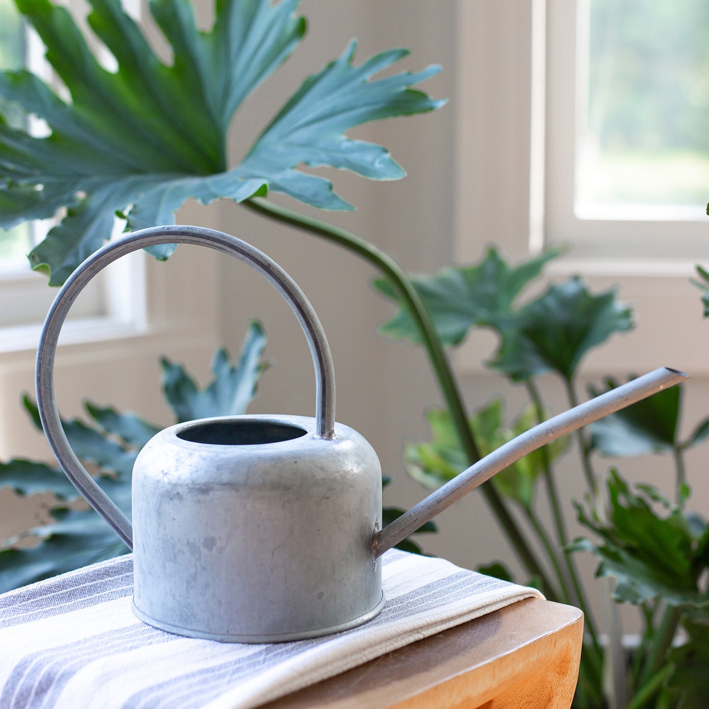 Loop Watering Can
