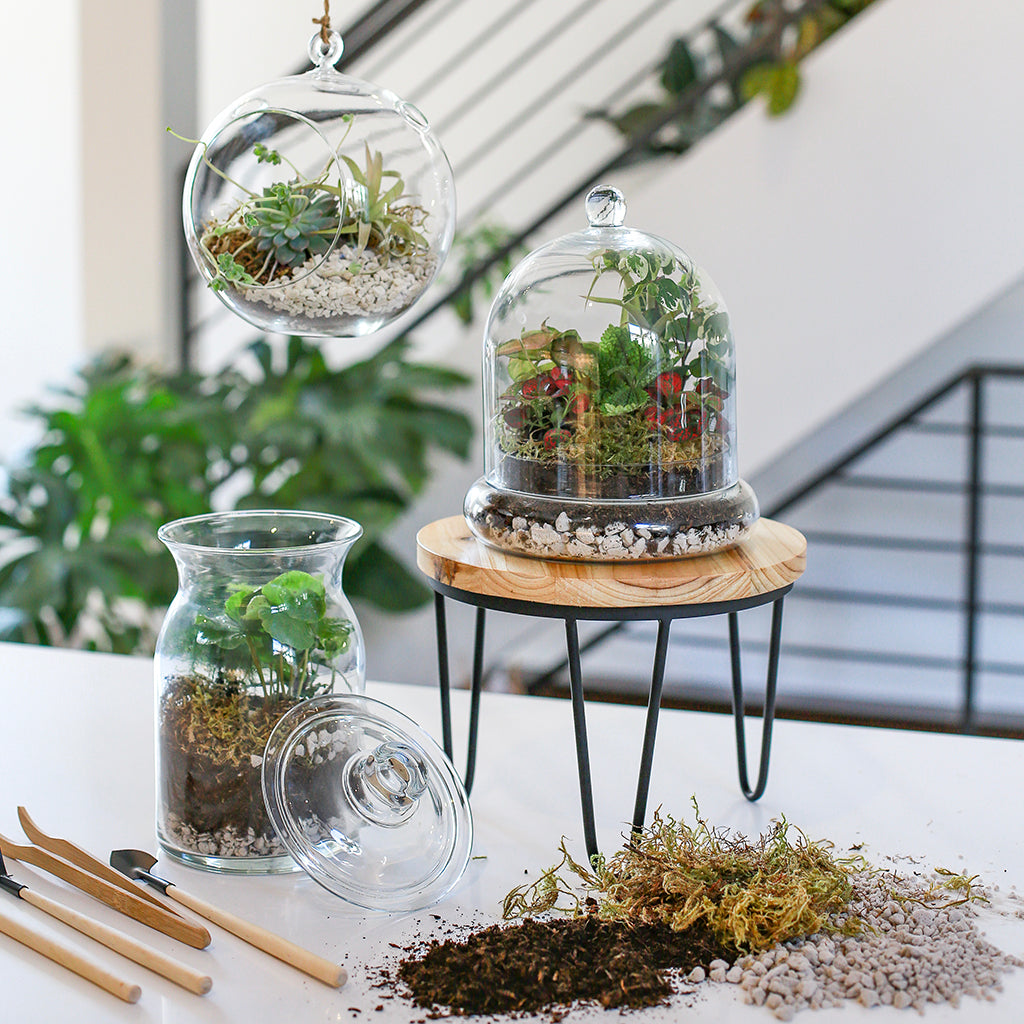 Medium Cloche Kit