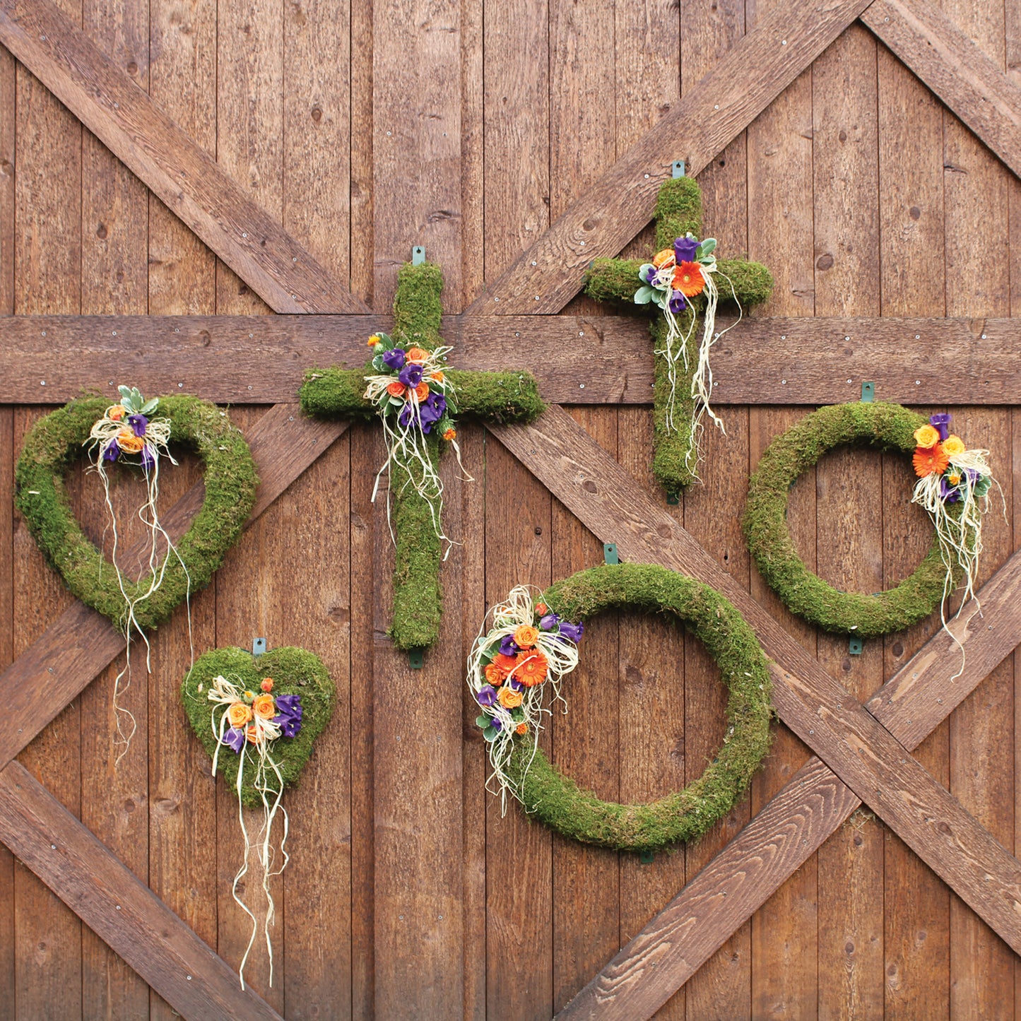 Aquaform Cross - Case of 2