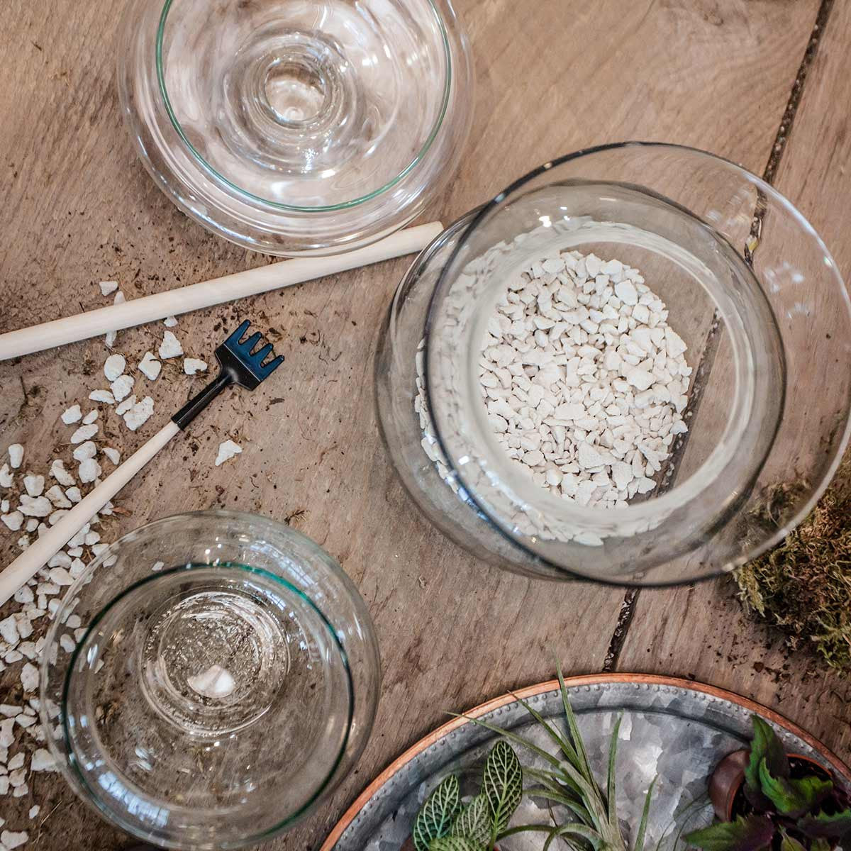 hydro stone drainage stones in terrarium