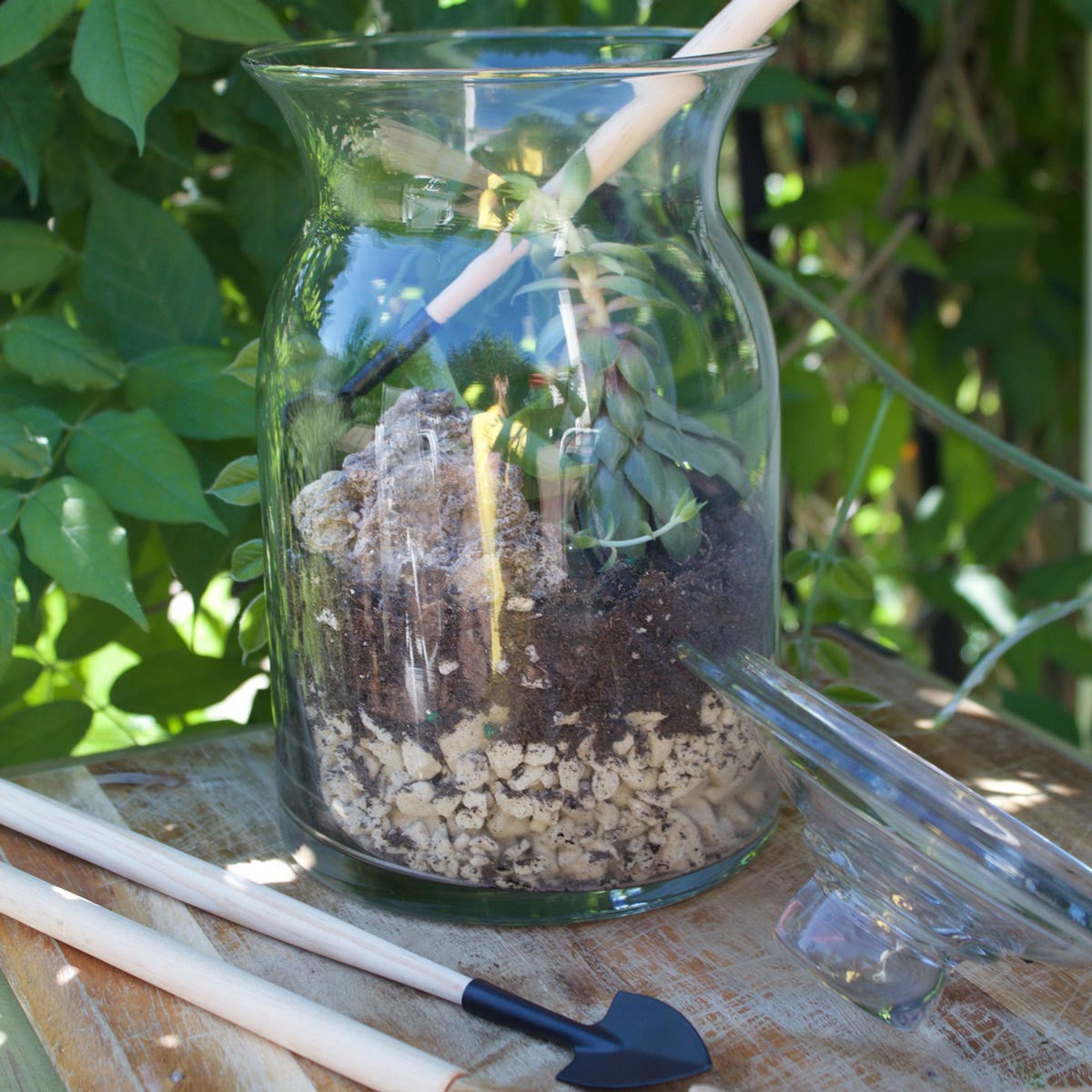 milk jug vase used a a terrarium with terrarium tools inside.
