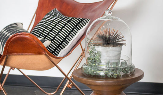 3 alternate uses for large terrariums