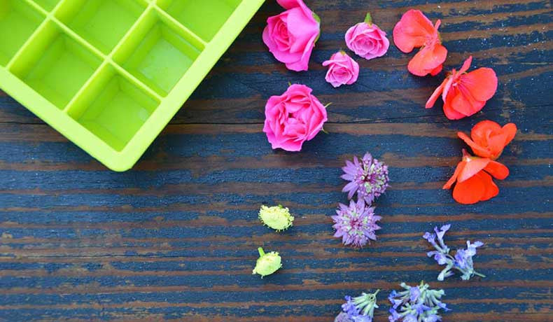 Make Your Own Floral Ice Cubes with Derek
