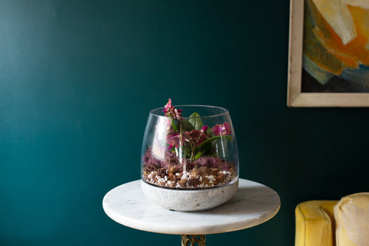 A purple flowering plant in a stone-bottomed glass terrarium