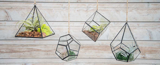 4 Geometric Terrarium Styles We Love