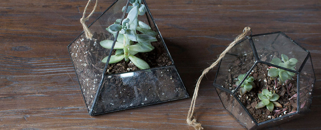 5 Ways to Bring the Outside in with Geometric Terrariums