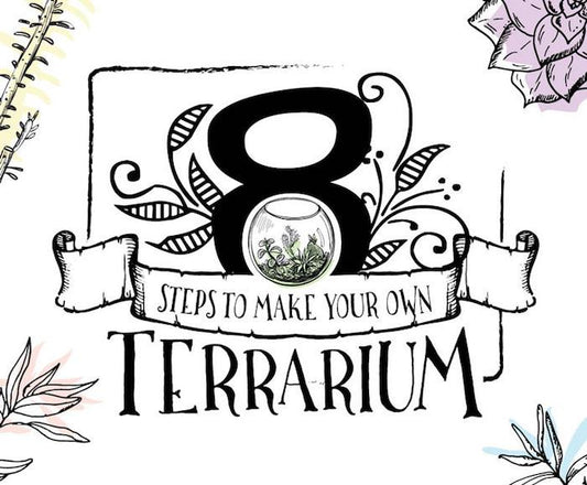 8 Steps to Make a Terrarium
