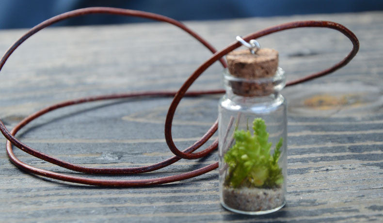 How to Make a DIY Wearable Terrarium with Derek