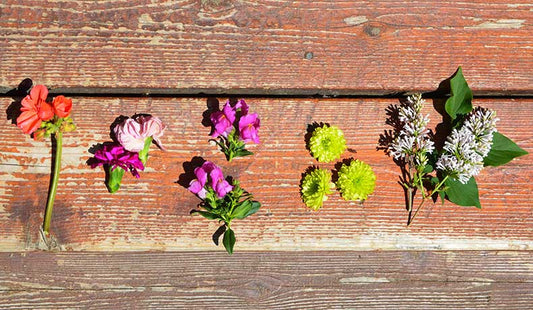 How to Make a Floral Salad using Edible Flowers with Derek