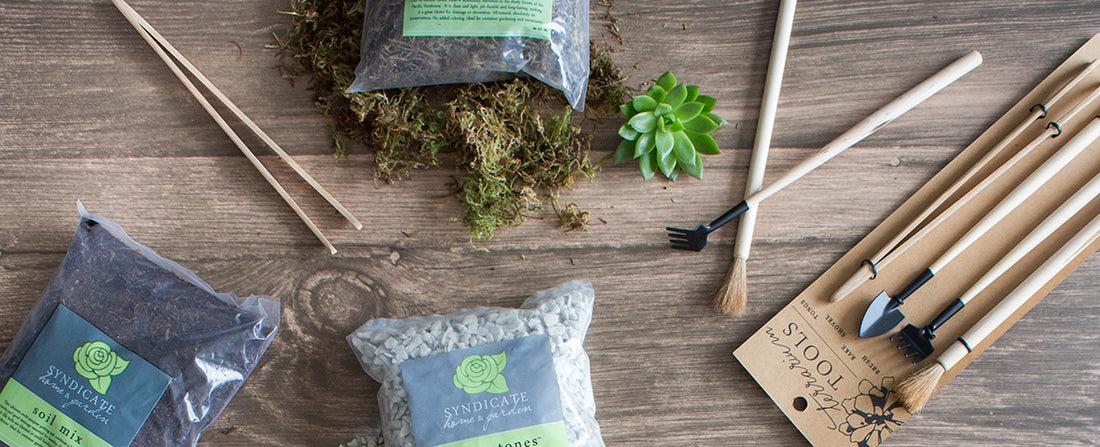 Must Have Terrarium Supplies