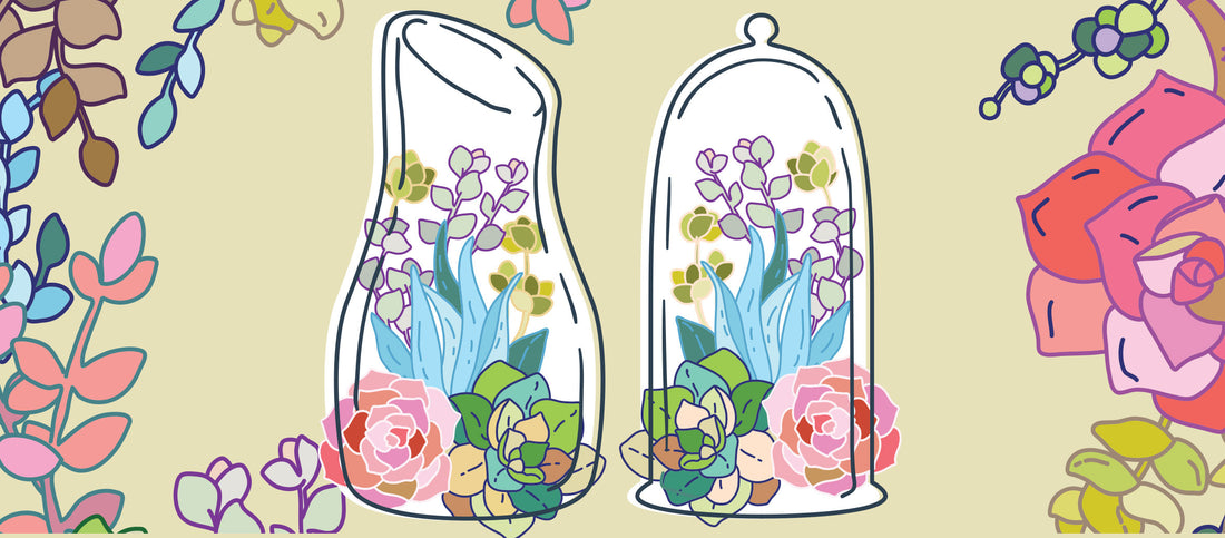 Closed Terrariums vs. Open Terrariums