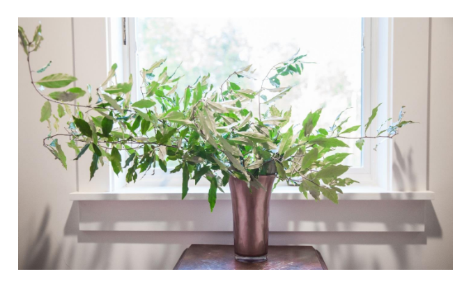 rose gold trumpet vase with branches