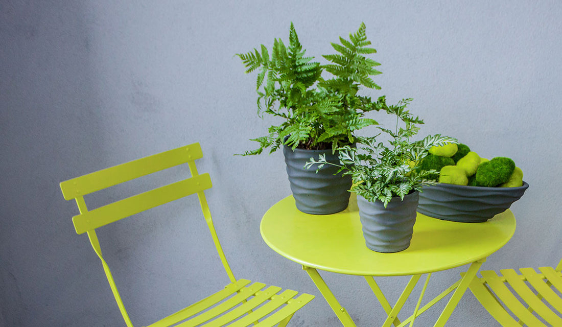 13 Low-Cost Ways to Refresh Your Home This Spring with Planters