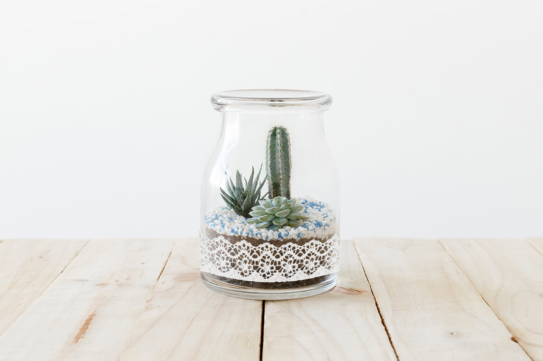DIY Vintage Glass Terrarium and Vases