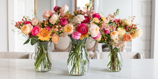 Best Practices for Maintaining Your Flower Cooler