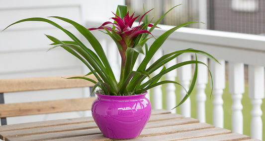 How To Use Outdoor Planters On A Patio Or Porch