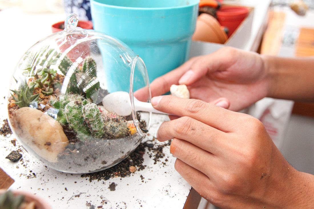How to Make a Fairy Garden Using a Terrarium