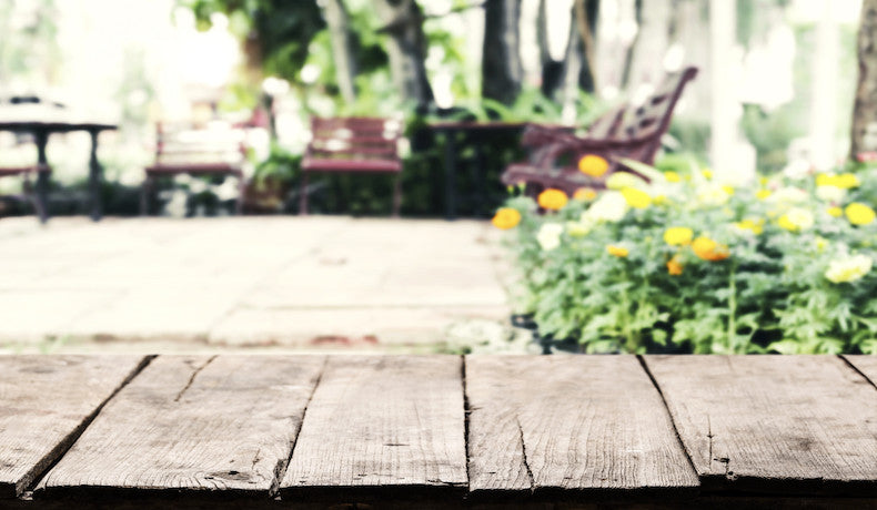 7 Ideas for Tabletop Gardens Using Terrariums