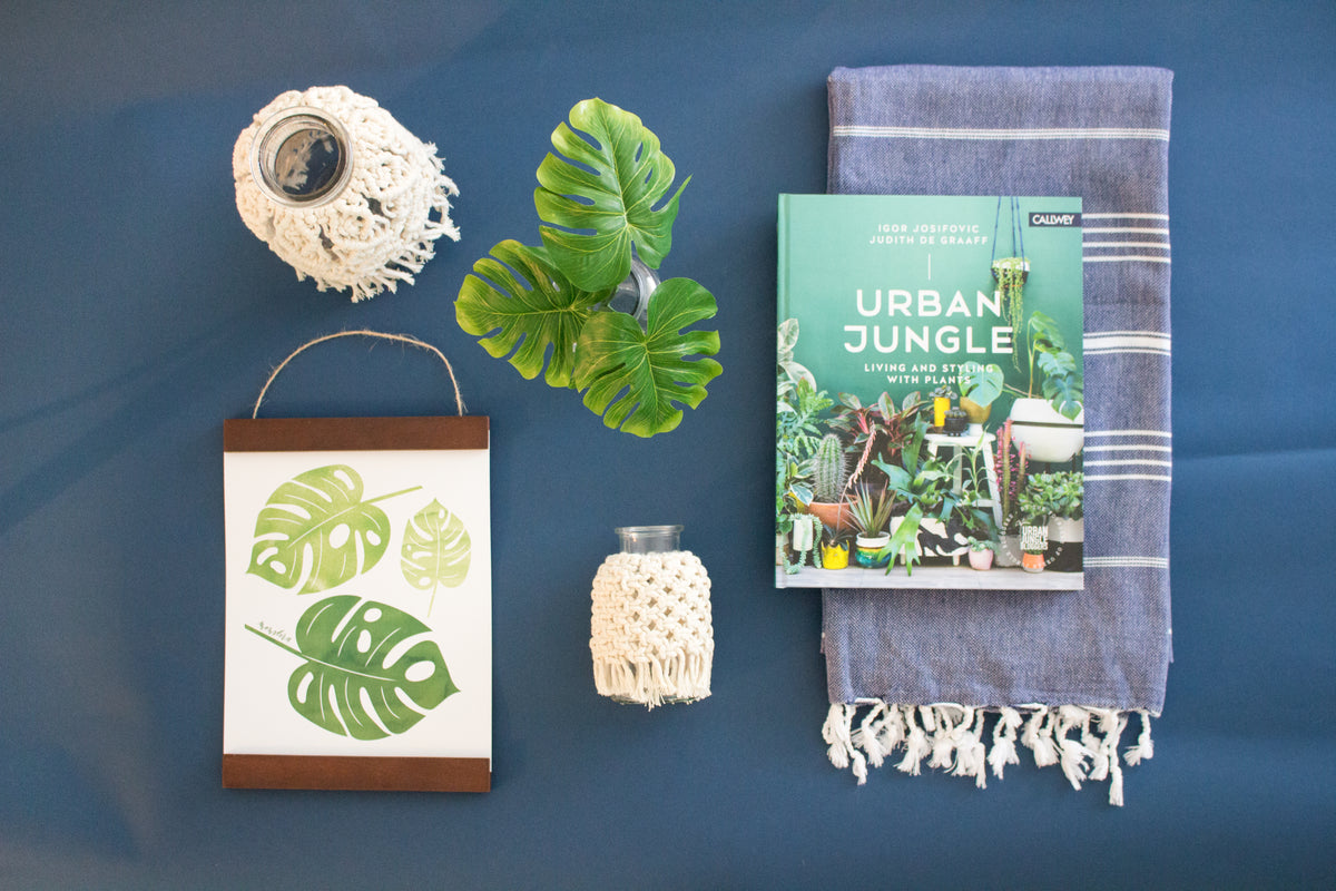Introducing: The Urban Oasis Spruce Box – 46 & Spruce | by Syndicate