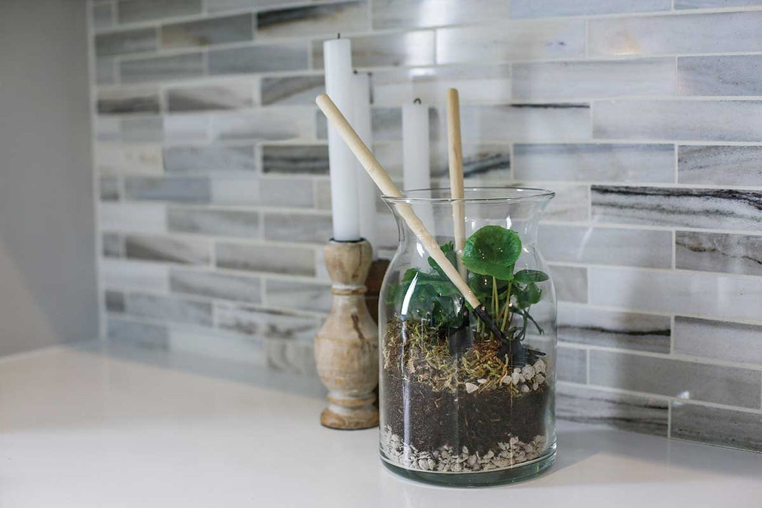 Terrariums 46 & Spruce 46 & Spruce Wholesale Supply House