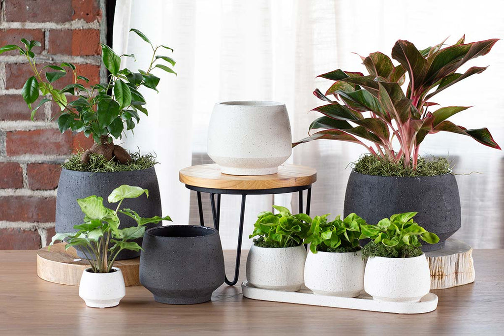 Planters