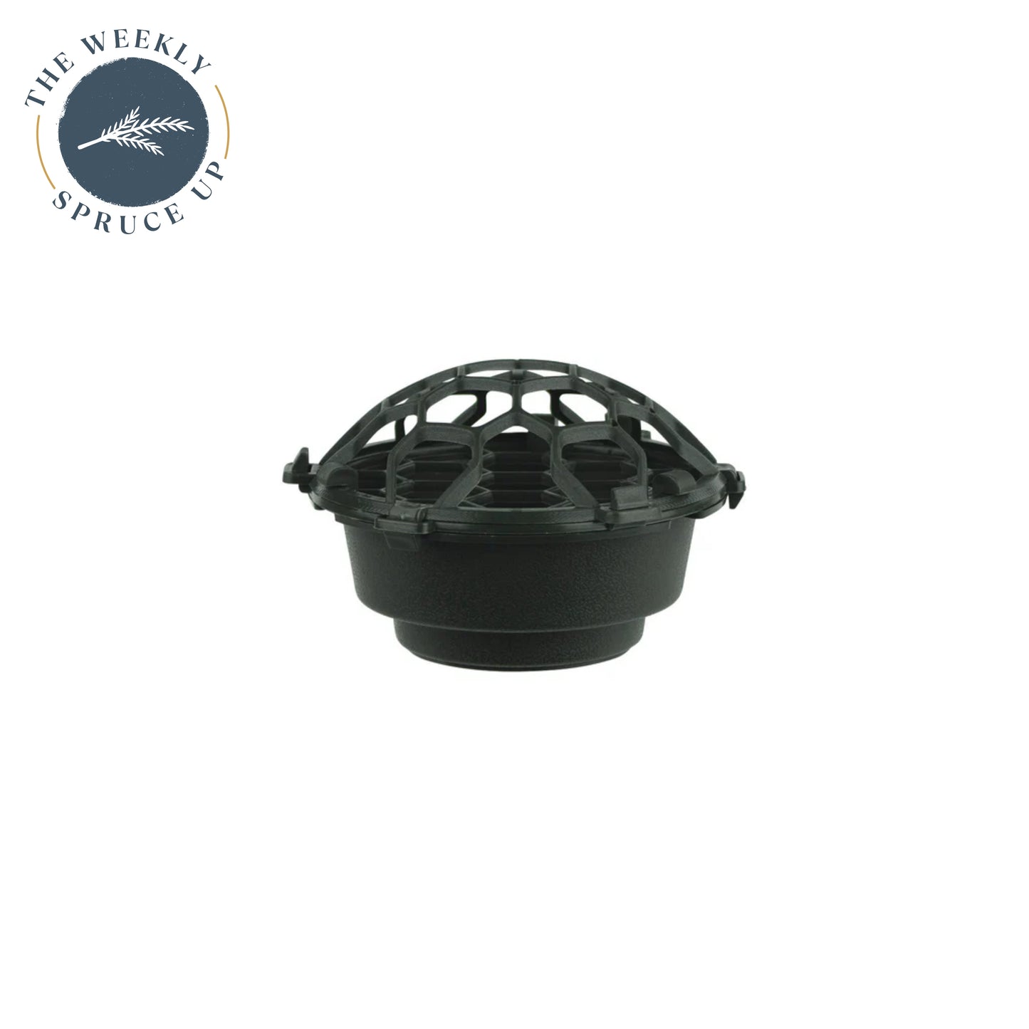 Holly Chapple FoamFree™ Dish